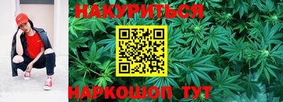 спайс Малгобек