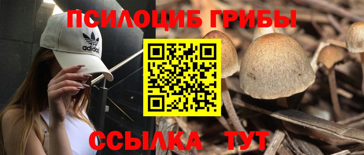 Галлюциногенные грибы MAGIC MUSHROOMS  Вход с VPN  Псилоцибиновые грибы Psilocybine cubensis  Чапаевск 